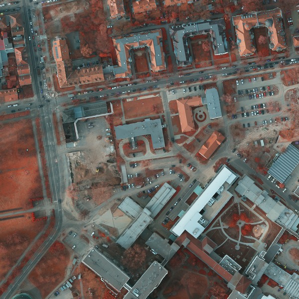 original, resized true ortho image