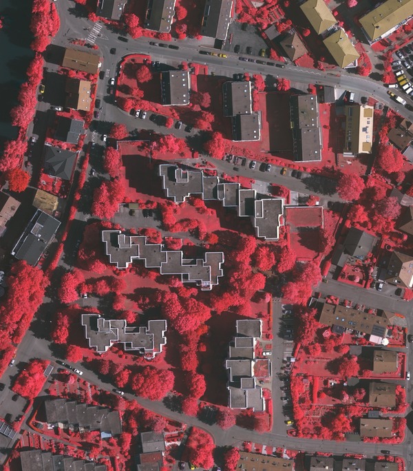 original, resized true ortho image